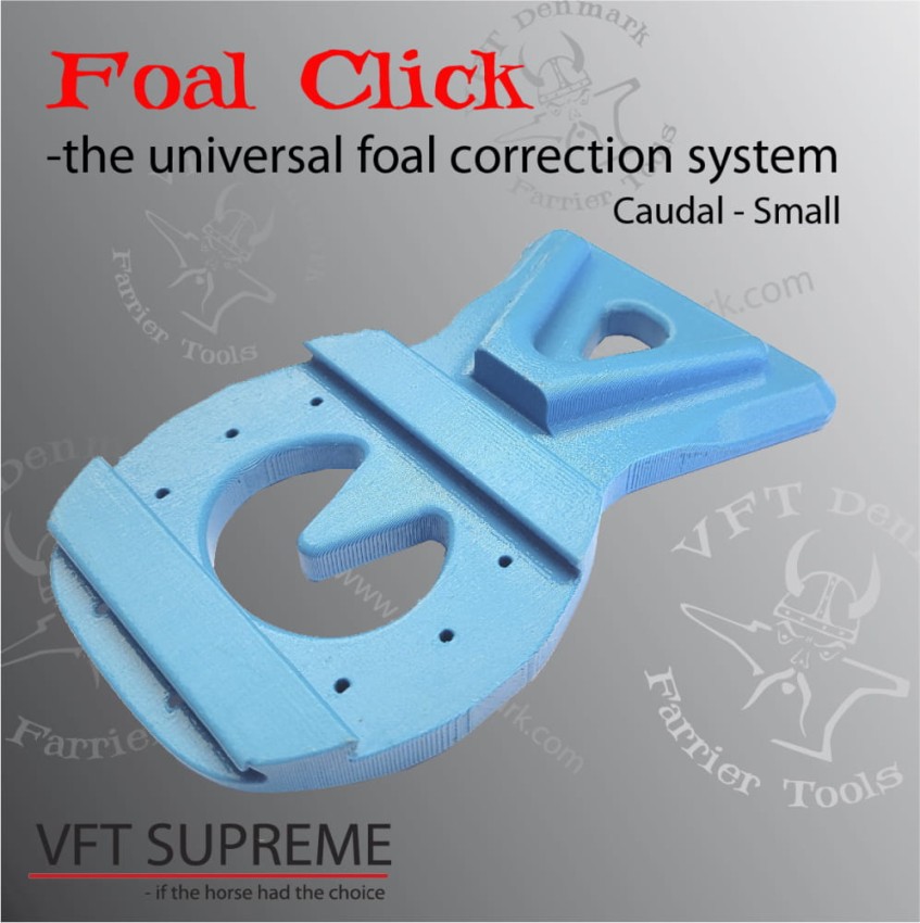 CaudalSmall-997x1000.jpg