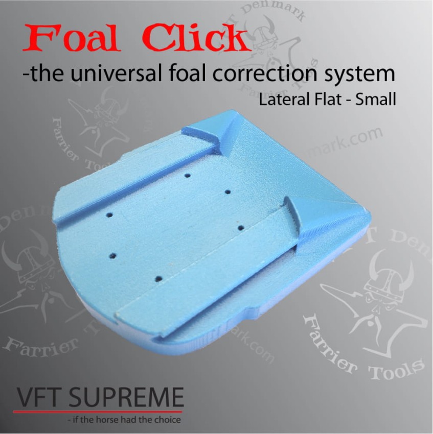 LateralFlatSmall-997x1000.jpg