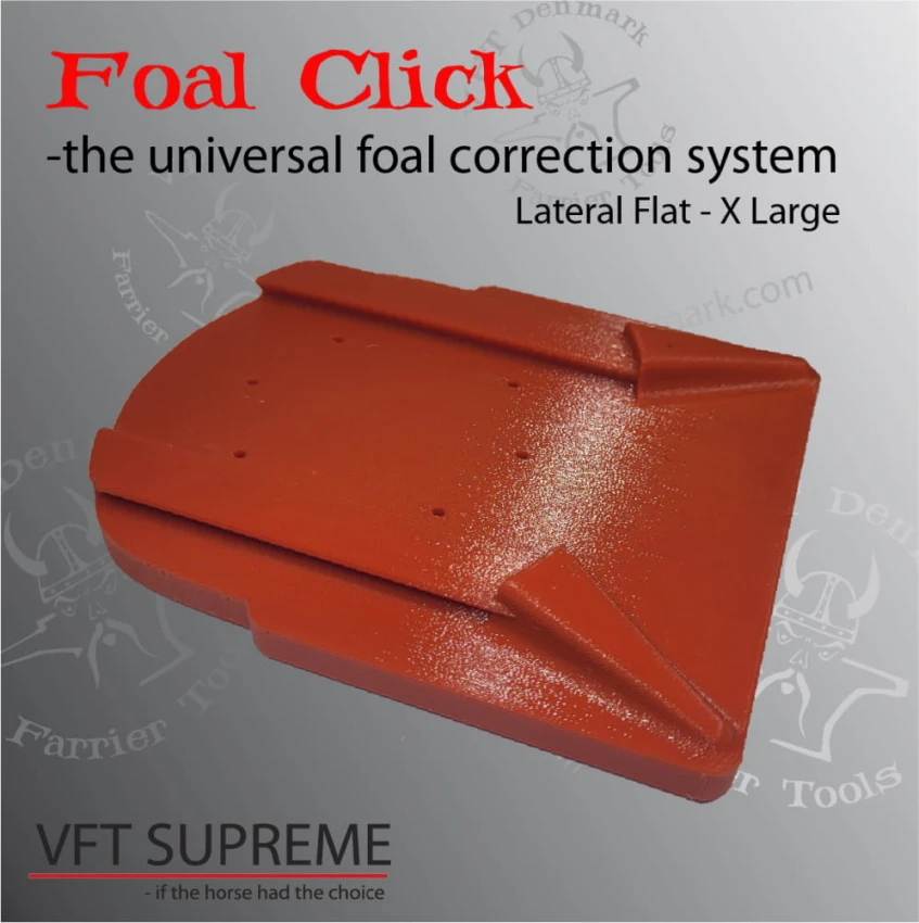 LateralFlatXlarge-997x1000.jpg