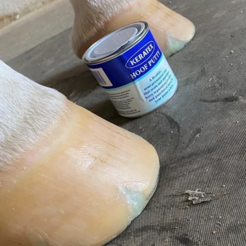 Hoof_putty_keratex_hoofcare_maneline_cambridge_nz_farrier_supplies.png.webp