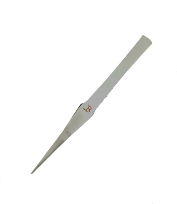 tjbep-e1645791385697-600x692.png