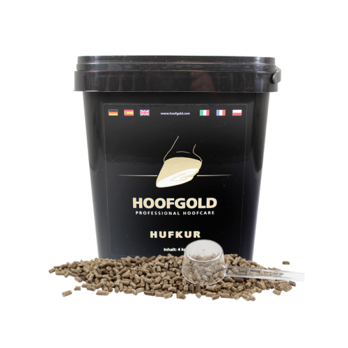hufgold-hufkur.jpg.png