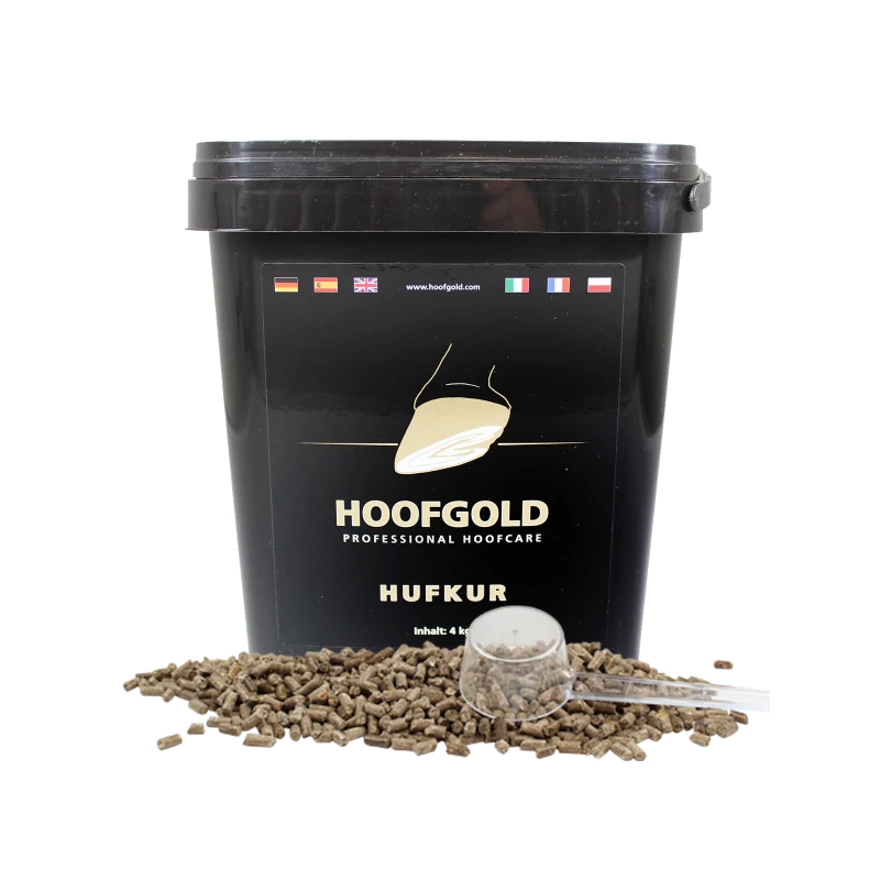 hufgold-hufkur.jpg.png
