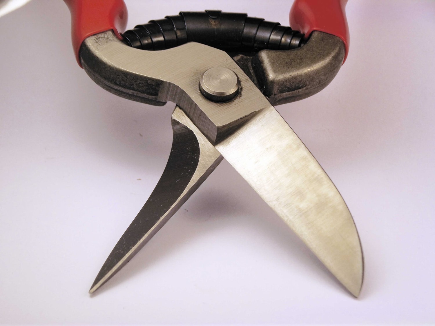 2299-8'' 3.jpg