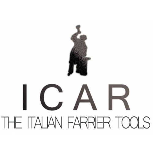 Producent: ICAR (przejdź do produktów)